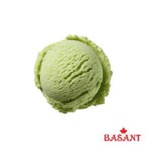 PISTA_SCOOP